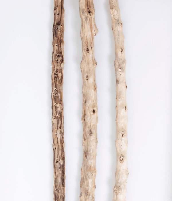 Arena:con manila blanca